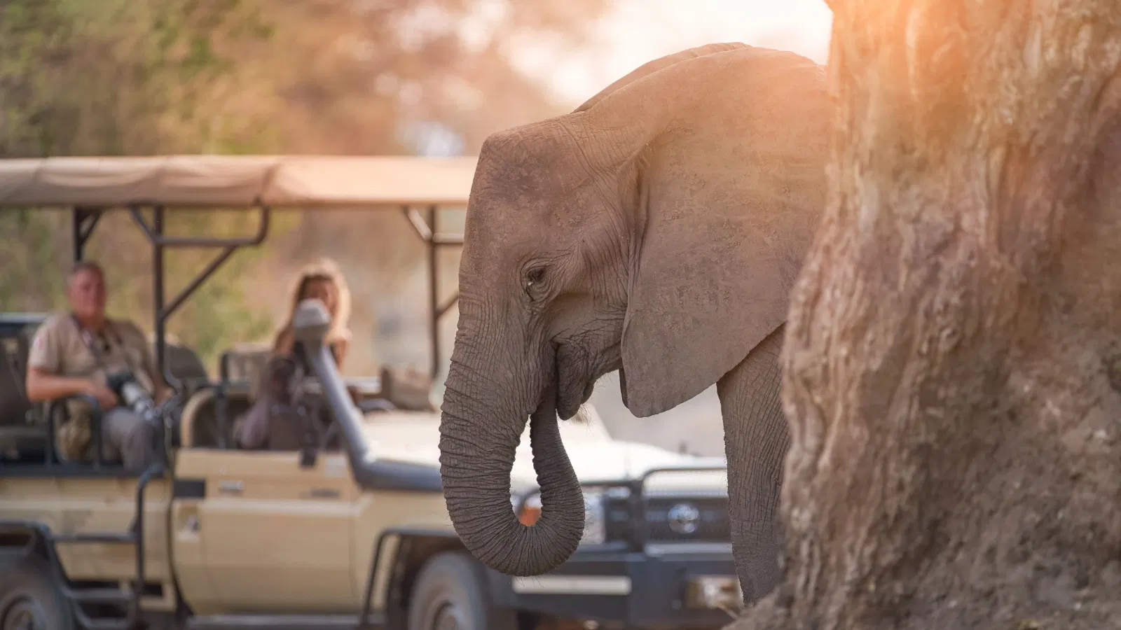 Africa Collection Holiday