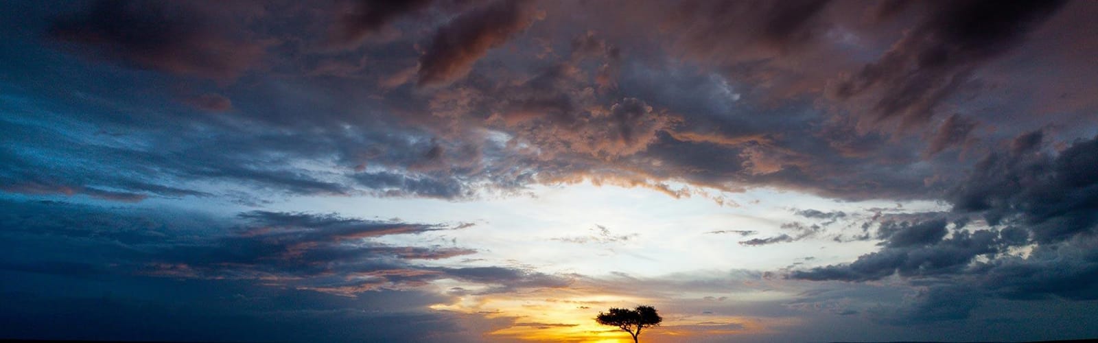 Africa Collection Holiday