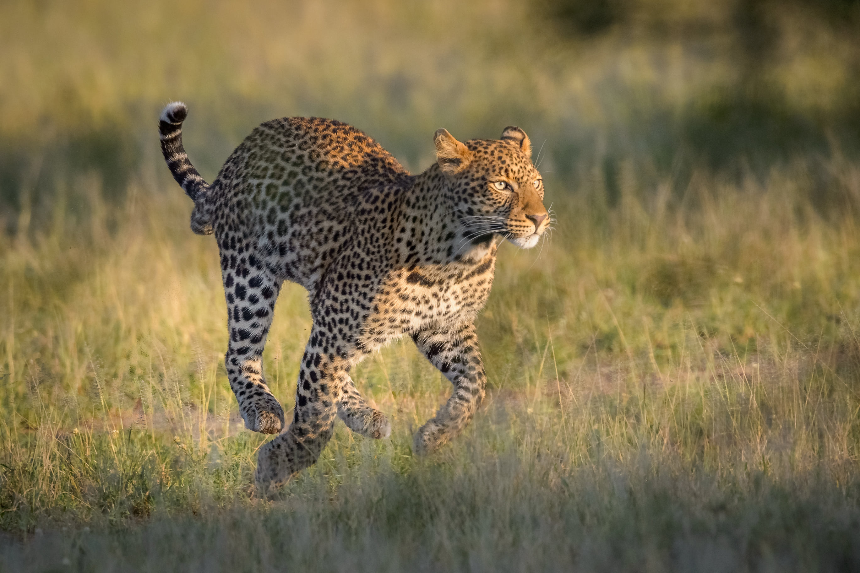 KENYA AND TANZANIA CAMPING TOUR